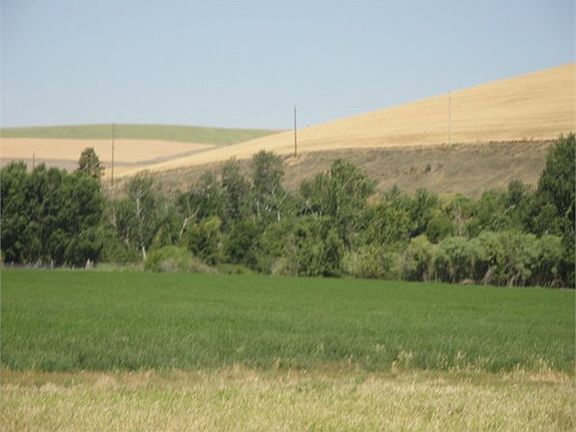 4th image of 36229 Highway 12
