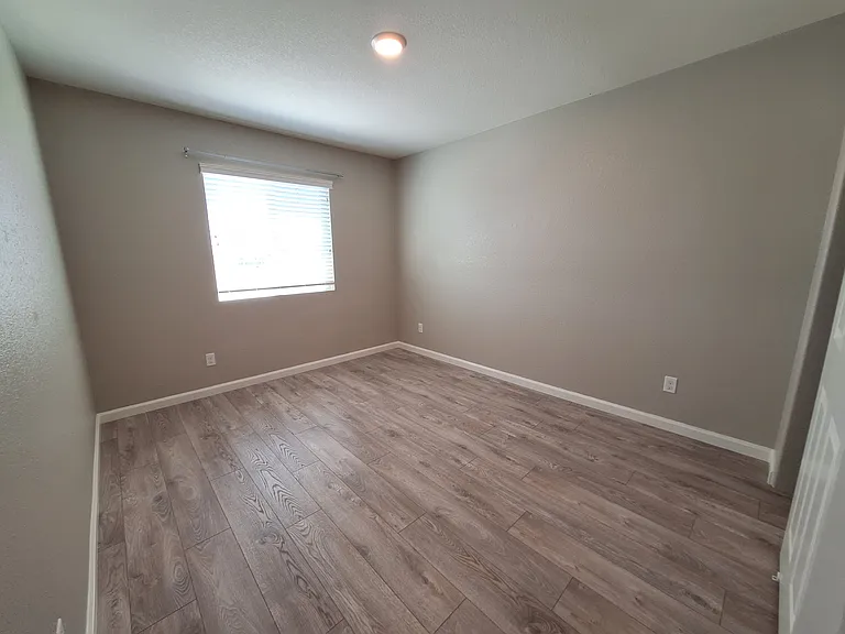 Alboran Sea Cir — Photo 23