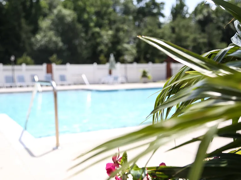 Sparking swimming pool