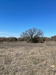 342 Trailride Ln, Nocona, TX, 76255