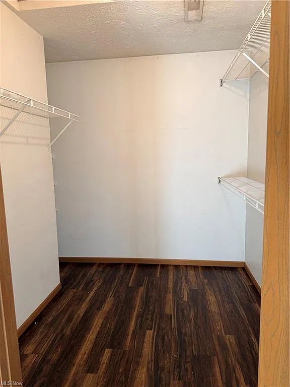 1 bed, $875 — Photo 4