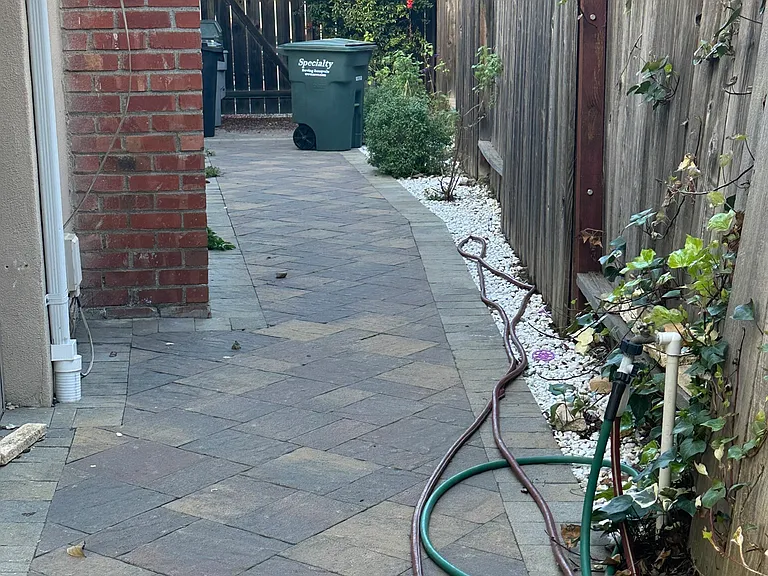 Sideyard