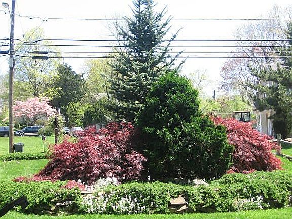 Front 'Island' Landscaping