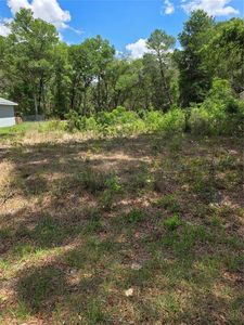 10679 SW 110TH COURT LOT 64, Dunnellon, FL, 34432