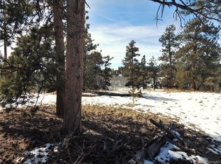 2126 Yellowstone Rd #206, Hartsel, CO 80449