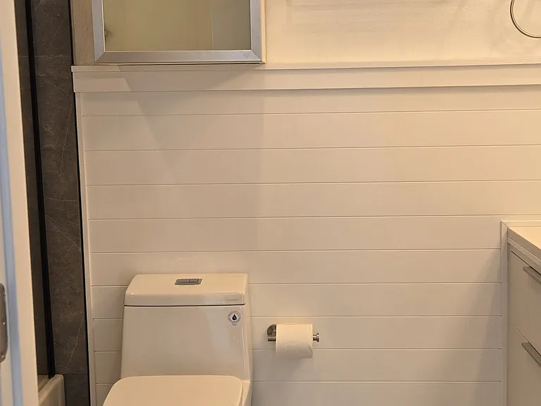 Woodbridge luxury one piece high effiecency toilet