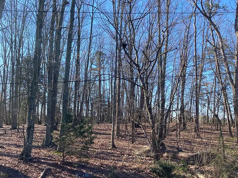 170 Shallowford Village Ct — Photo 7