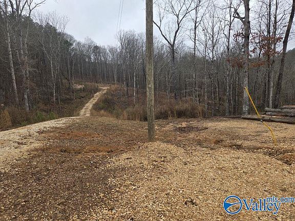 3rd image of 94 Caney Cove Rd