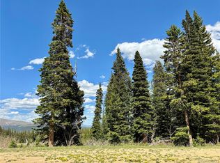 674 El Lobo Ln #697, Fairplay, CO 80440