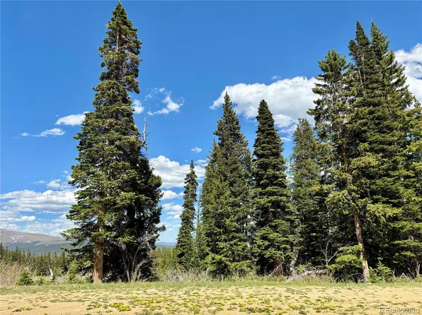 674 El Lobo Lane LOT 697, Fairplay, CO 80440