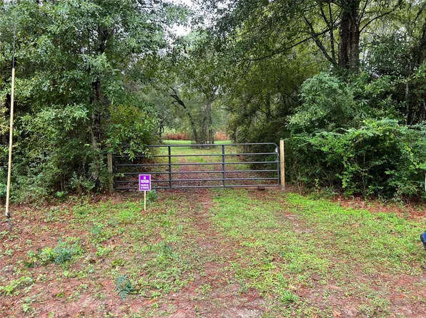 26156 Red Oak Dr, Magnolia, TX 77355