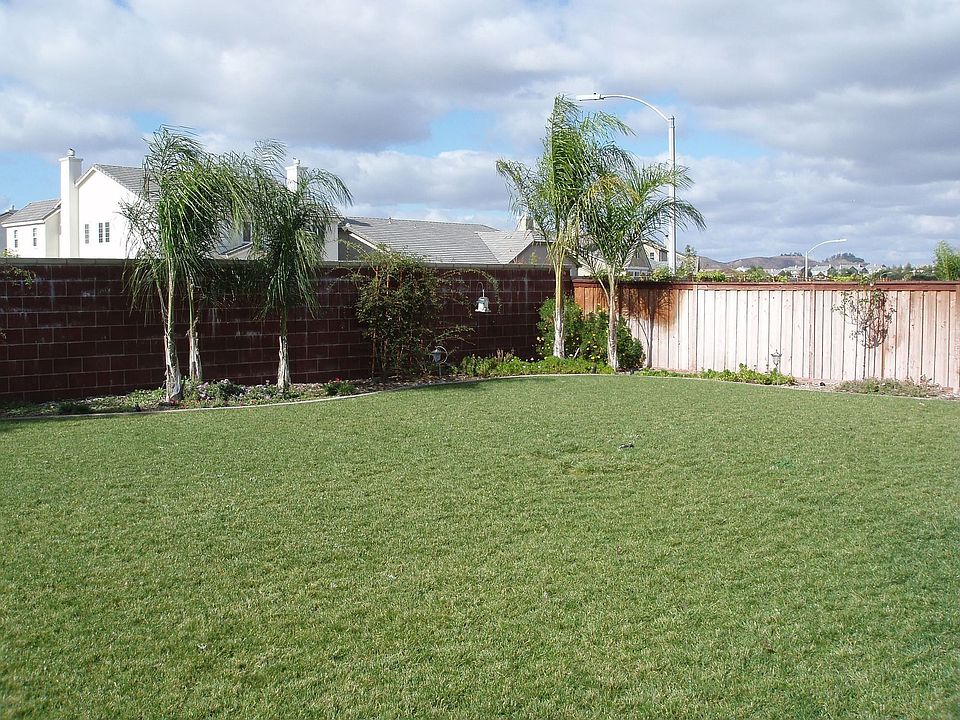 Rear Yard