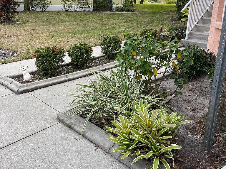 Sidewalk going to 101 condo