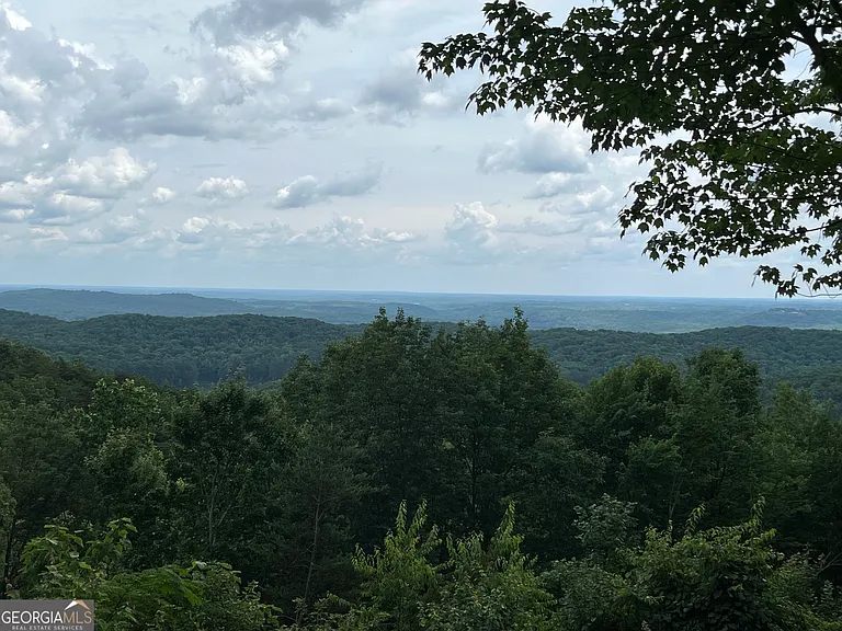 700 Old Lake Russell Rd — Photo 11