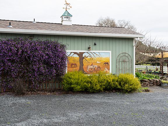 Parking area in full bloom.