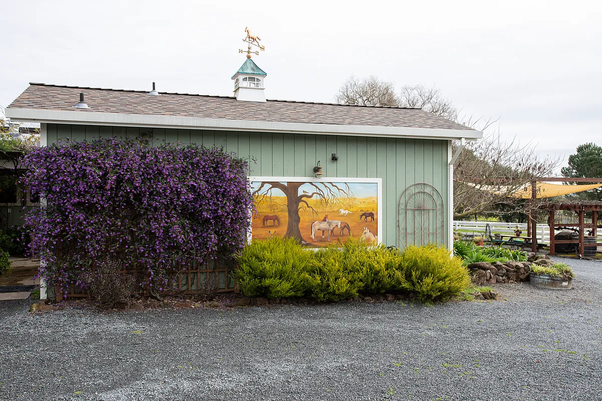 Parking area in full bloom. - 3207B Oak Farm Ln #B