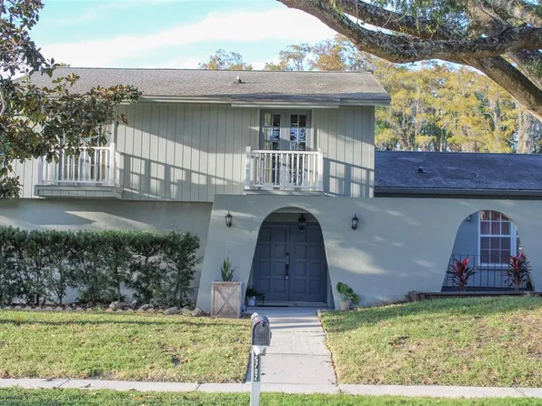 15702 SPRINGMOSS LANE, TAMPA, FL 33624