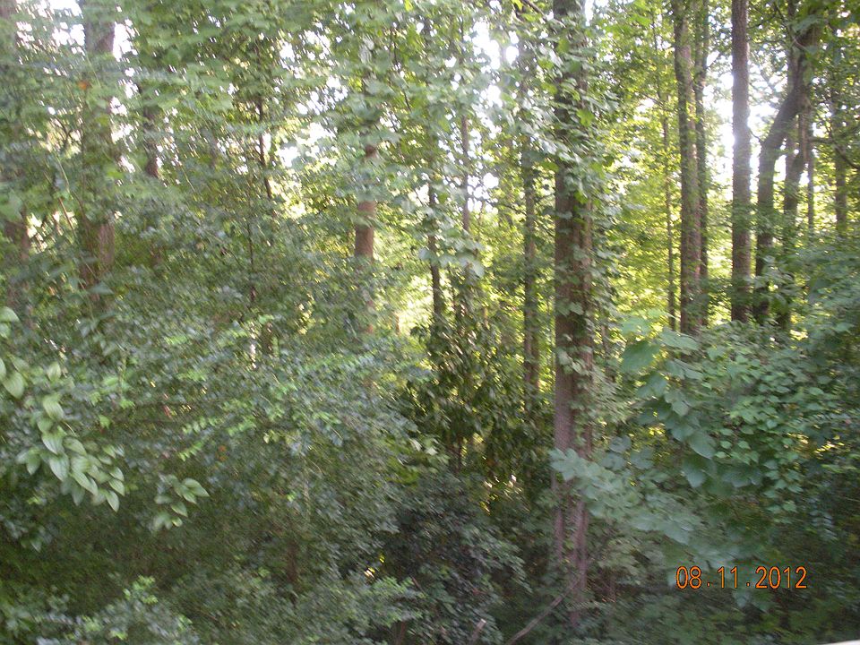 View from Deck