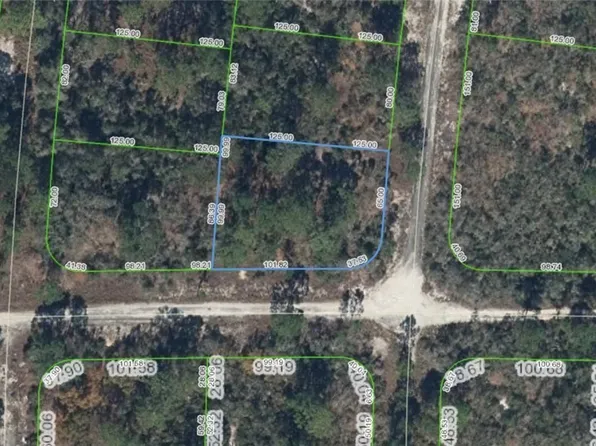 300 Rainbow Dr, Lake Placid, FL 33852