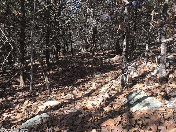 3rd image of Haywood Ln
