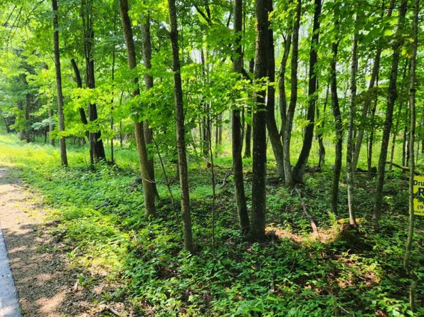 Maxton Cut Across Rd, Drummond Island, MI 49726