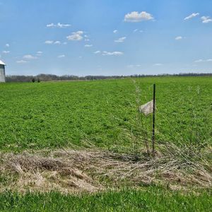 870th Ave, Spring Valley, WI, 54767