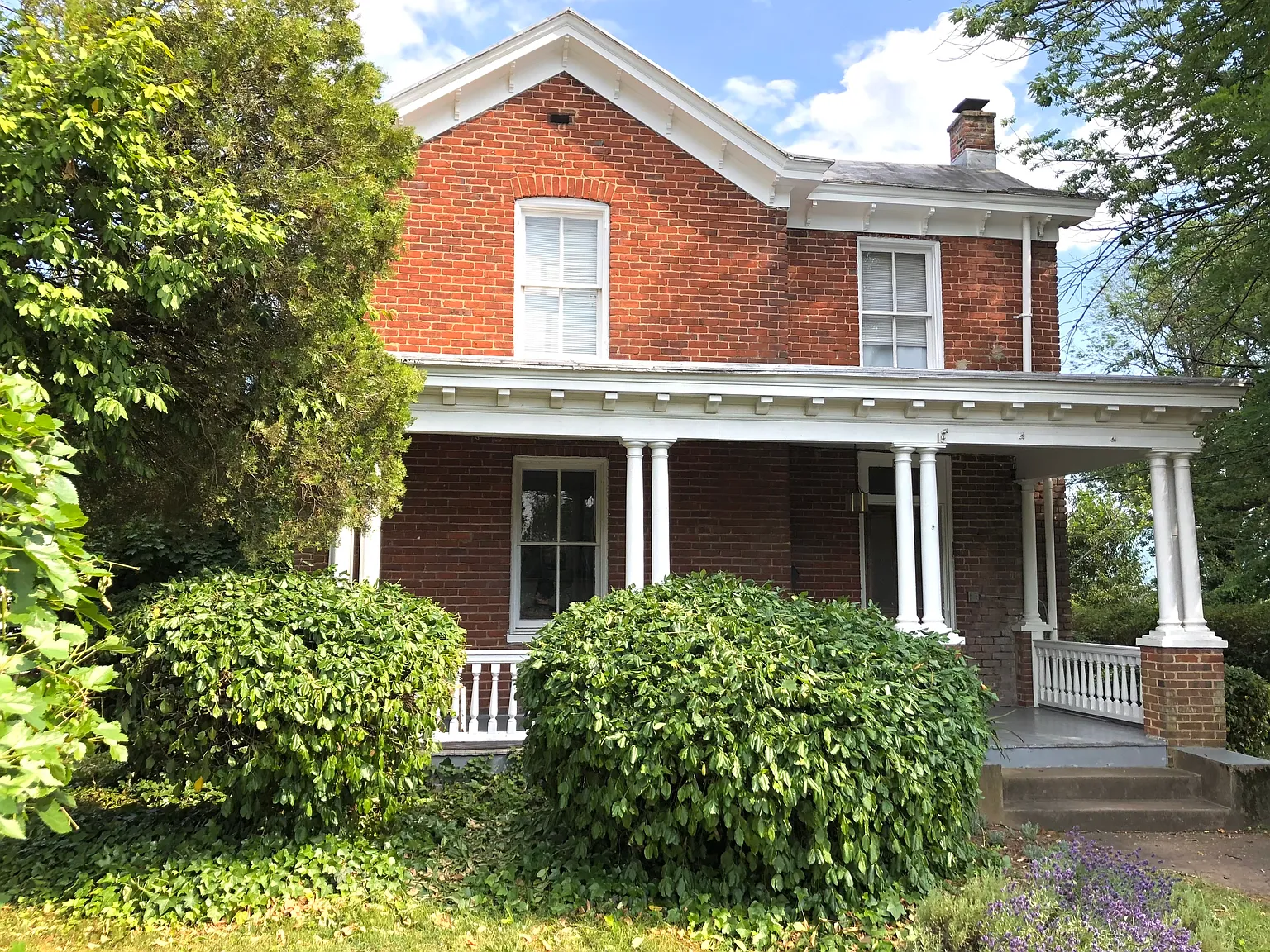 2 bed, $1,550 — Photo 1