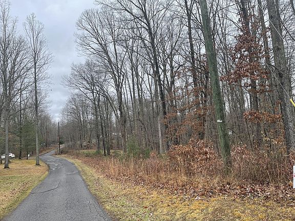 3rd image of 319 Austin St