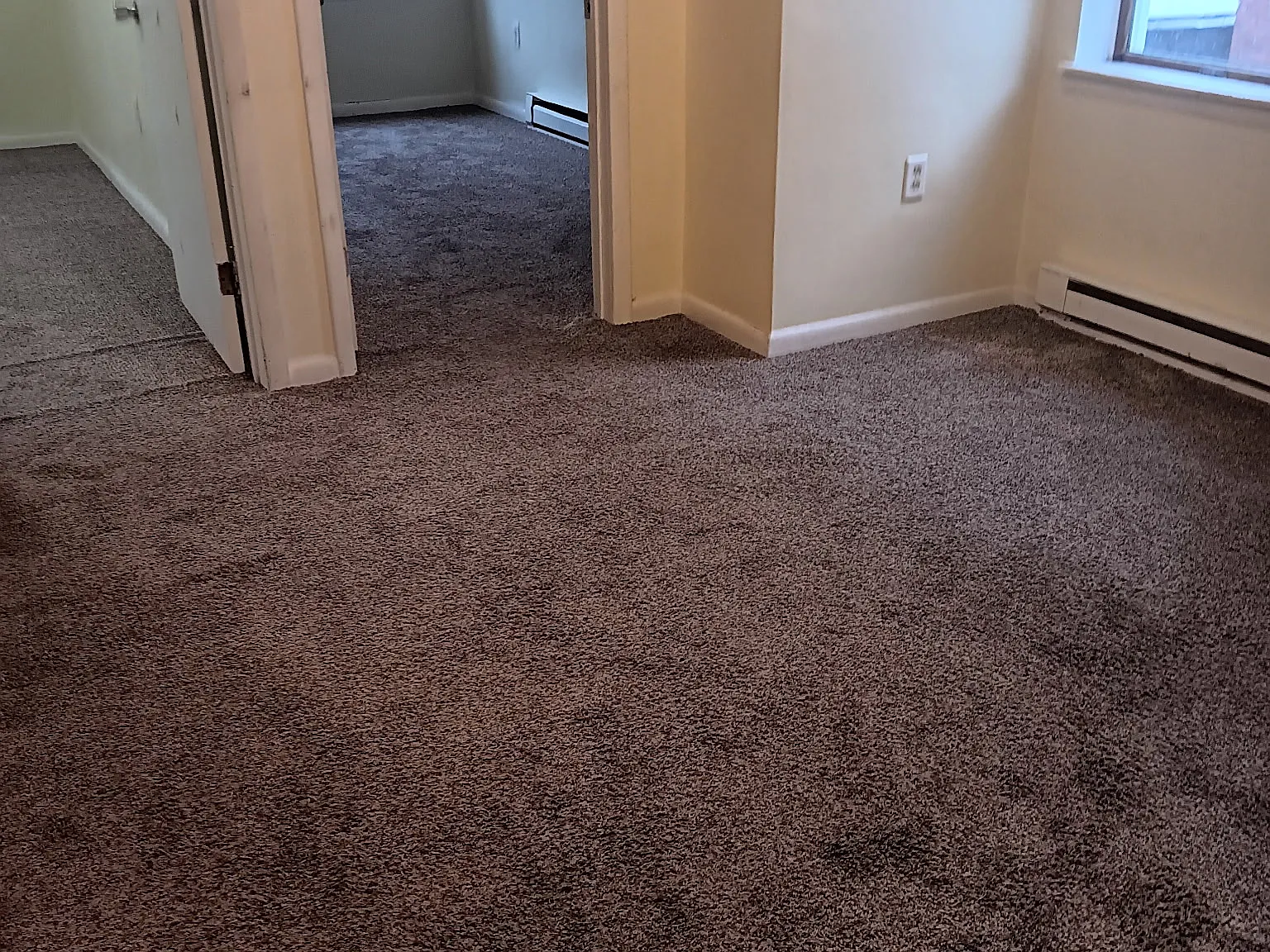557 McKean Ave APT 4 - 4 — Photo 2