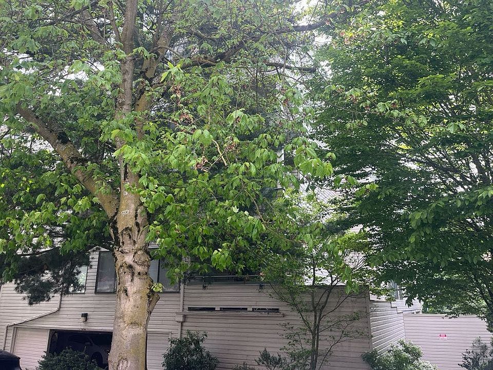 1st image of 211 Summit Ave E APT 108