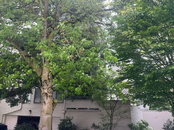 211 Summit Ave E APT 108, Seattle, WA 98102
