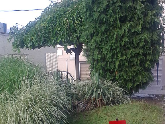 2nd image of 501 Oakland Ave