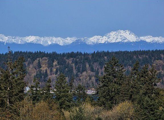 Olympic Mtn. Views