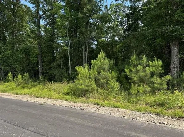 TRACT 1C Lower Rome Rd, Springfield, LA 70462