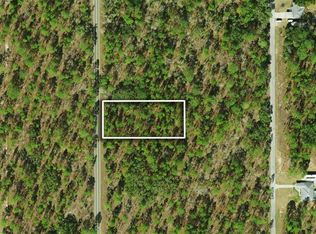 NW Ridgewood Rd LOT 29, Dunnellon, FL 34431