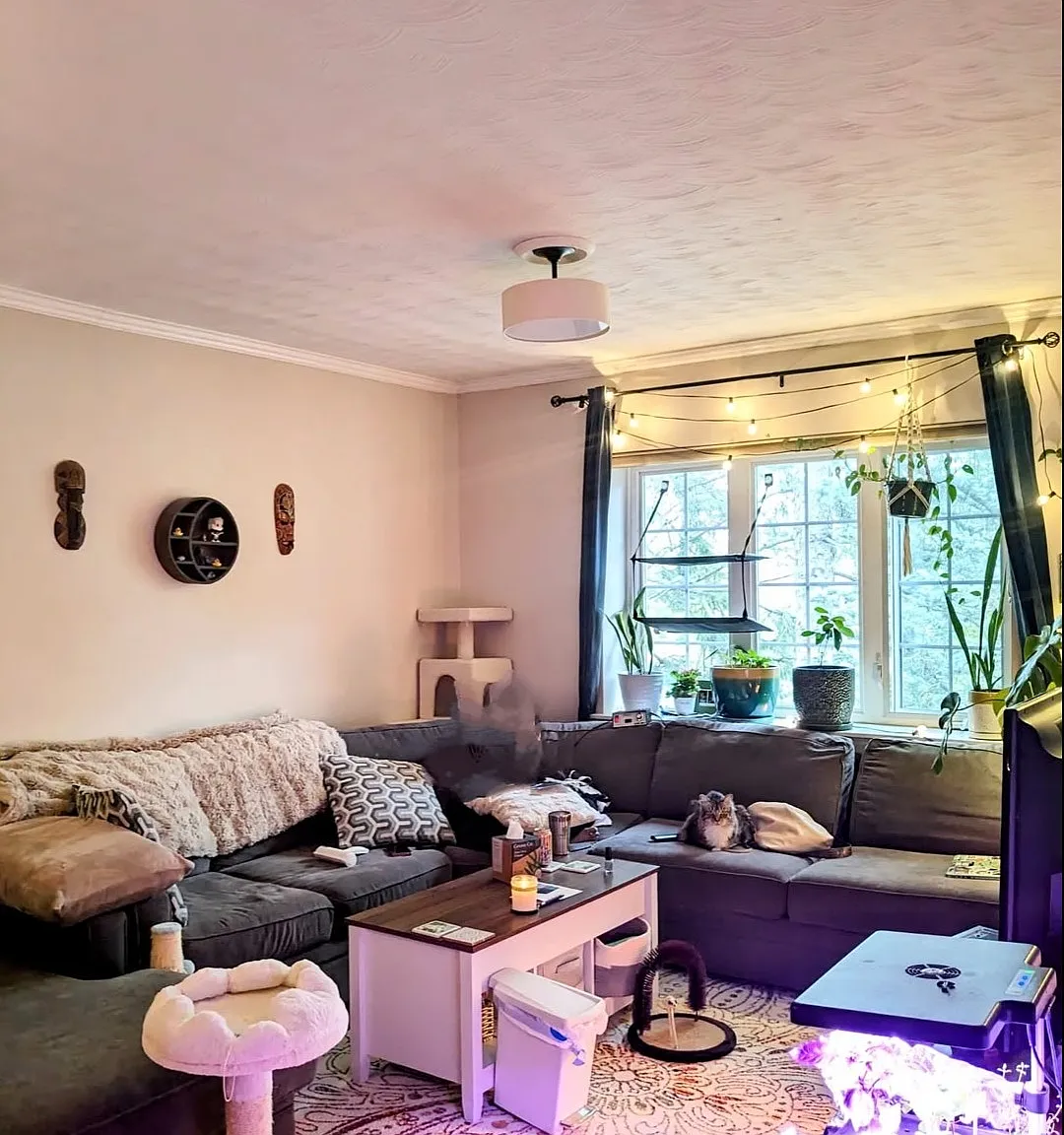 1 bed, 750 sqft, $2,500 — Photo 4