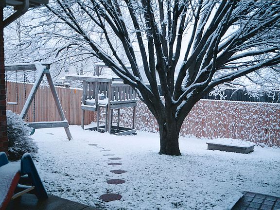Backyard in 2004: tree removed in 2006.