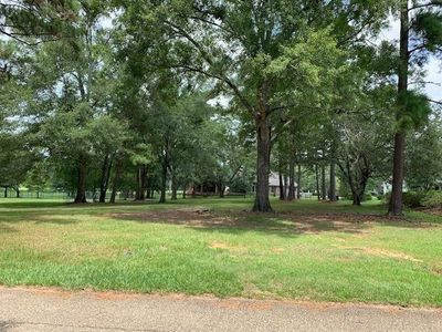 110 Chinawood Dr, Abita Springs, LA, 70420