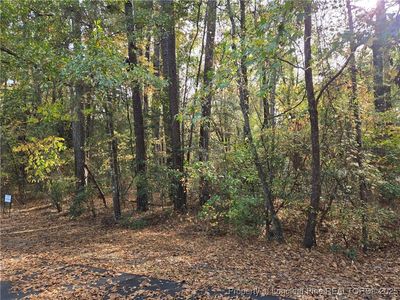 LOT-47A Cypress Creek Cor, Vass, NC, 28394