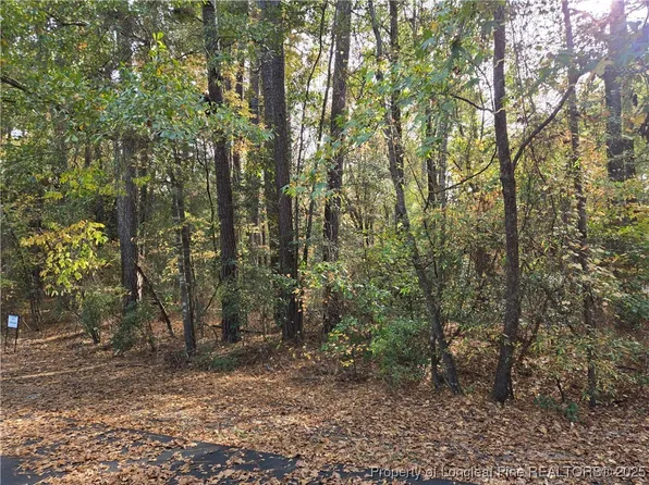 LOT-47A Cypress Creek Cor, Vass, NC 28394