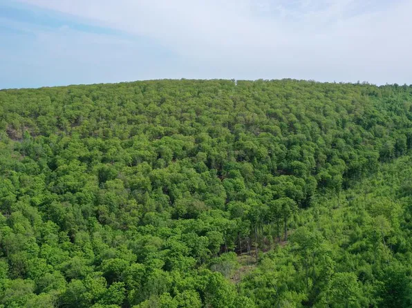 0 State Highway 44, Coudersport, PA 16915