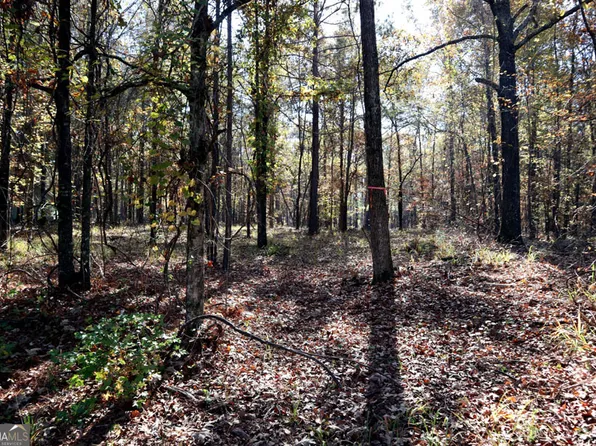1438 Jamesway Dr, Sparta, GA 31087
