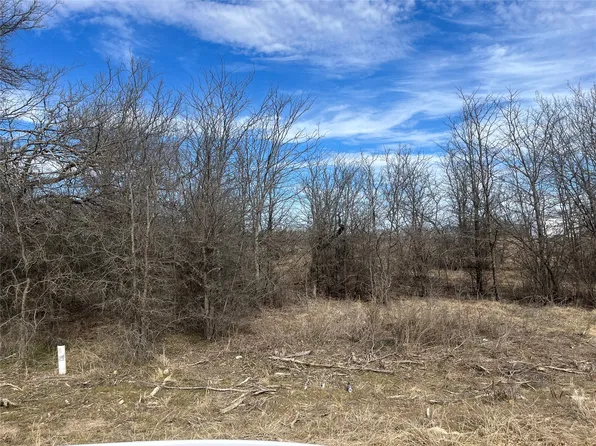 Sleepy Meadow Dr, Bridgeport, TX 76426