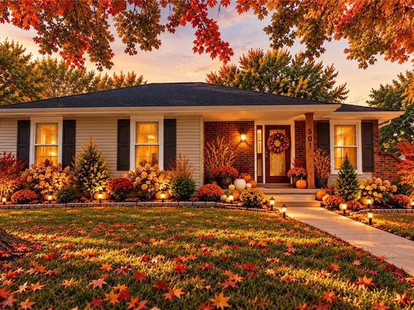 501 W McDowell Ave, Odessa, MO 64076