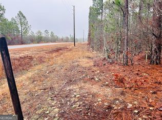 0 Henry Currington Rd, Mauk, GA 31058