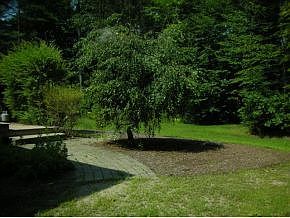 2nd image of 93 Edgewater Dr
