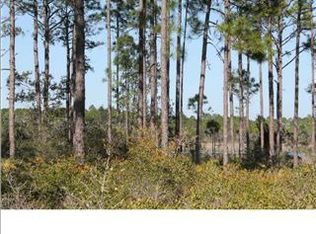 423 Mill Rd LOT 1, Carrabelle, FL 32322