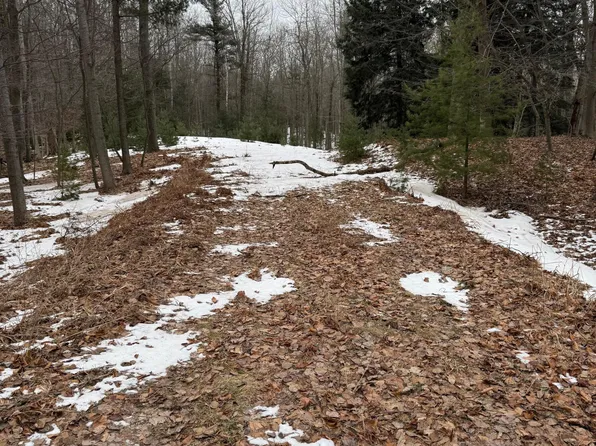 W Fox Farm Rd, Manistee, MI 49660