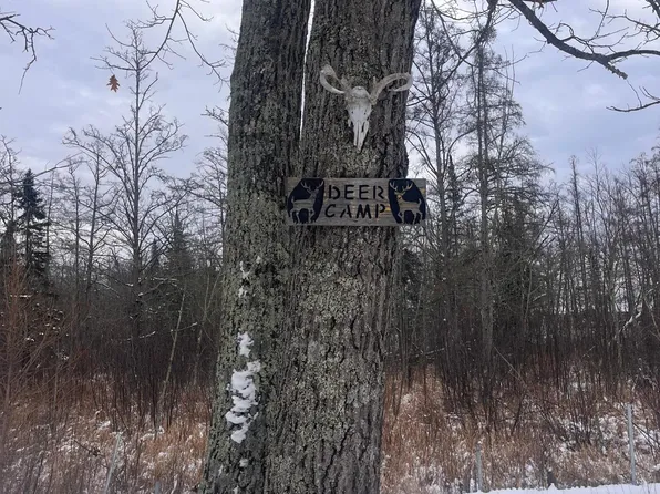 21896 County Road 111, Deerwood, MN 56444