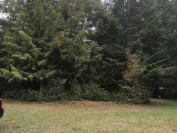 4th image of 330 W Nahwatzel Beach Dr